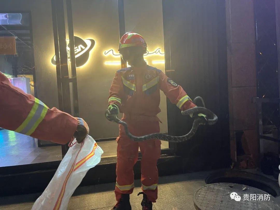 男子睡得正香，下一秒被吓到失去表情！贵阳消防：一个月抓8回了……休闲区蓝鸢梦想 - Www.slyday.coM