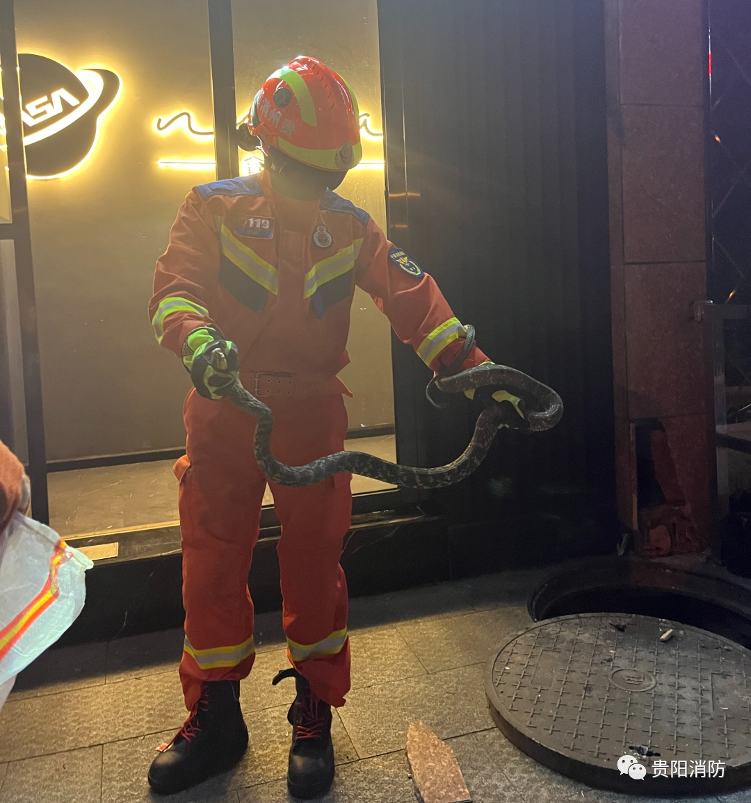 男子睡得正香，下一秒被吓到失去表情！贵阳消防：一个月抓8回了……休闲区蓝鸢梦想 - Www.slyday.coM