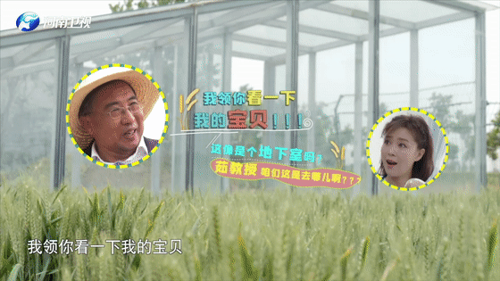 你好，这里是河南！重新认识一下吧休闲区蓝鸢梦想 - Www.slyday.coM