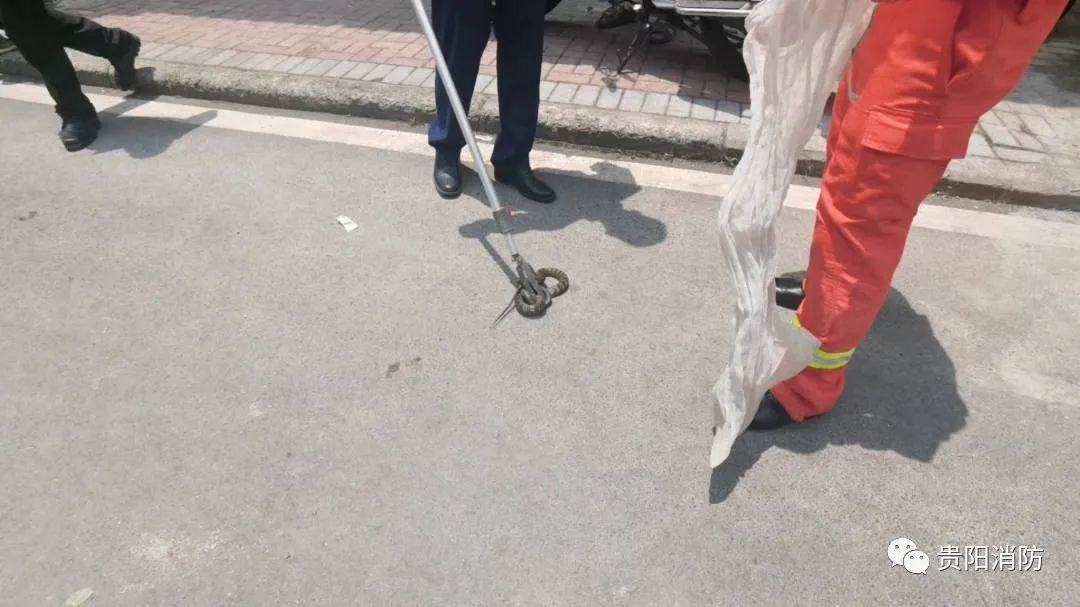 男子睡得正香，下一秒被吓到失去表情！贵阳消防：一个月抓8回了……休闲区蓝鸢梦想 - Www.slyday.coM