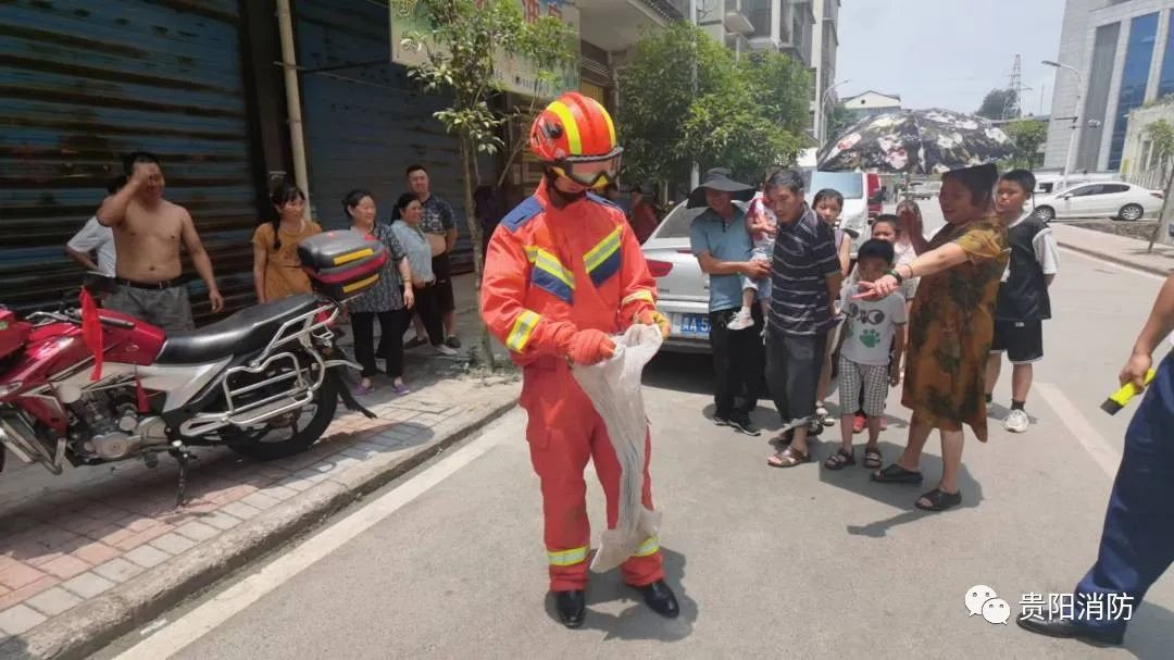 男子睡得正香，下一秒被吓到失去表情！贵阳消防：一个月抓8回了……休闲区蓝鸢梦想 - Www.slyday.coM