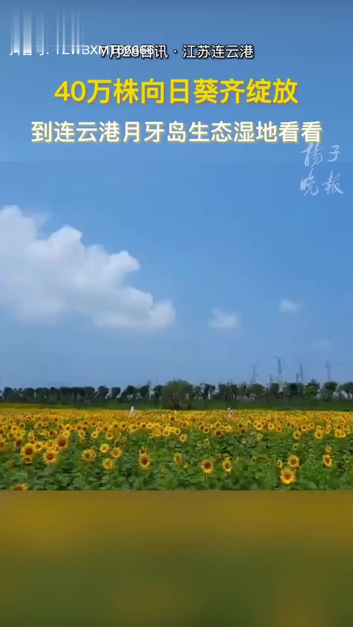 男人40岁后护肝饮食应该注意什么 肝脏保健产品的选择指南