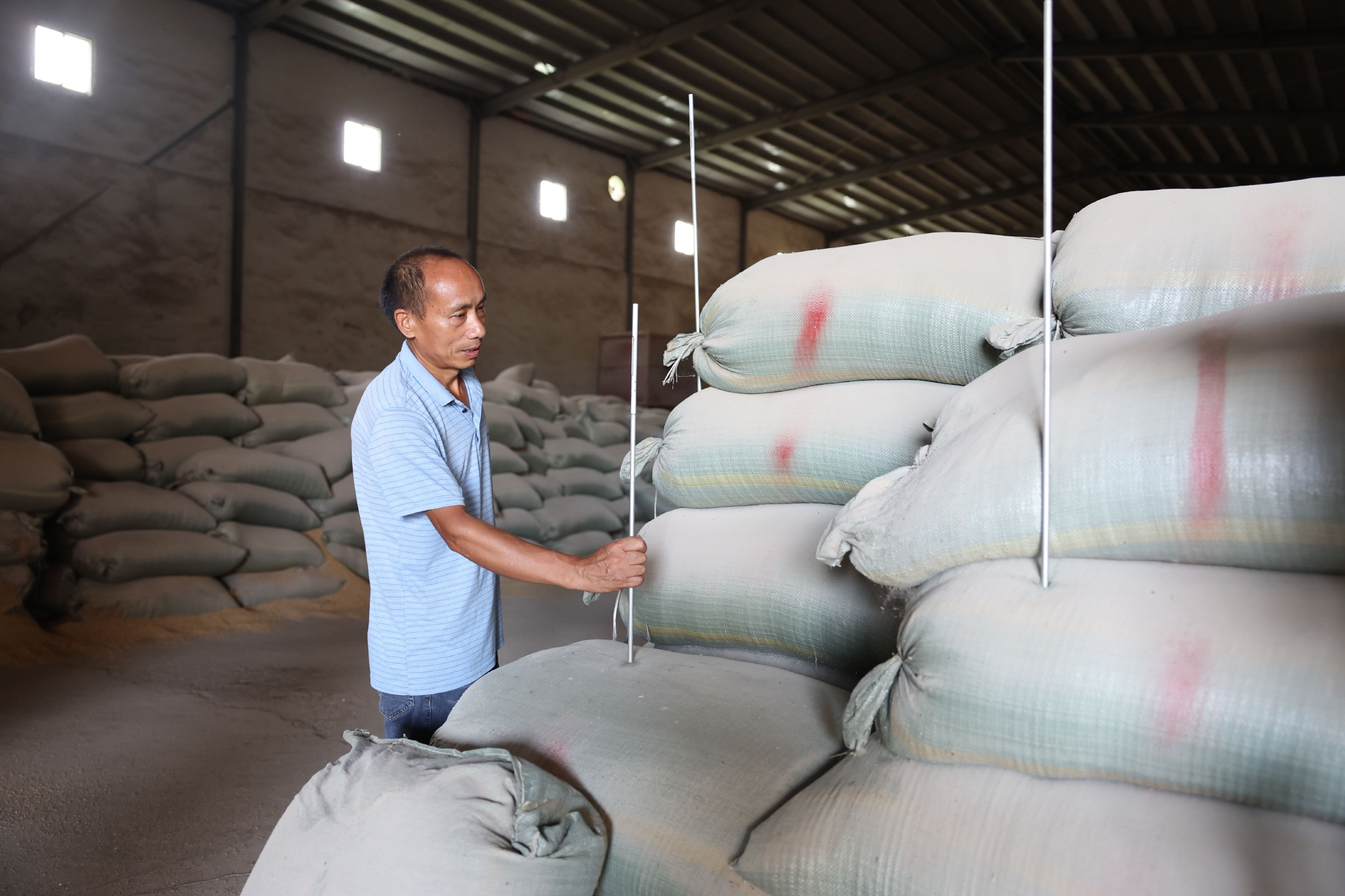 新华全媒减损提质有新招看粮食经纪人的科学收储法