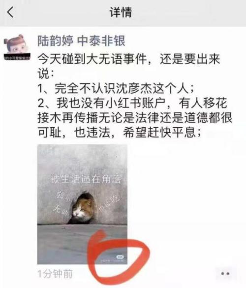 惊呆！90后券商交易员老公月收入超8万，博主小红书狂炫老公，供职于券商“贵族”中金公司，人均年薪超116万休闲区蓝鸢梦想 - Www.slyday.coM