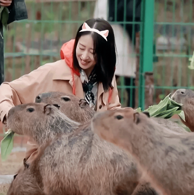 刘敏涛花少发言戳心:大直男有几个懂女人的?姐是我的互联网嘴替休闲区蓝鸢梦想 - Www.slyday.coM 刘敏涛花少发言戳心:大直男有几个懂女人的?姐是我的互联网嘴替休闲区蓝鸢梦想 - Www.slyday.coM