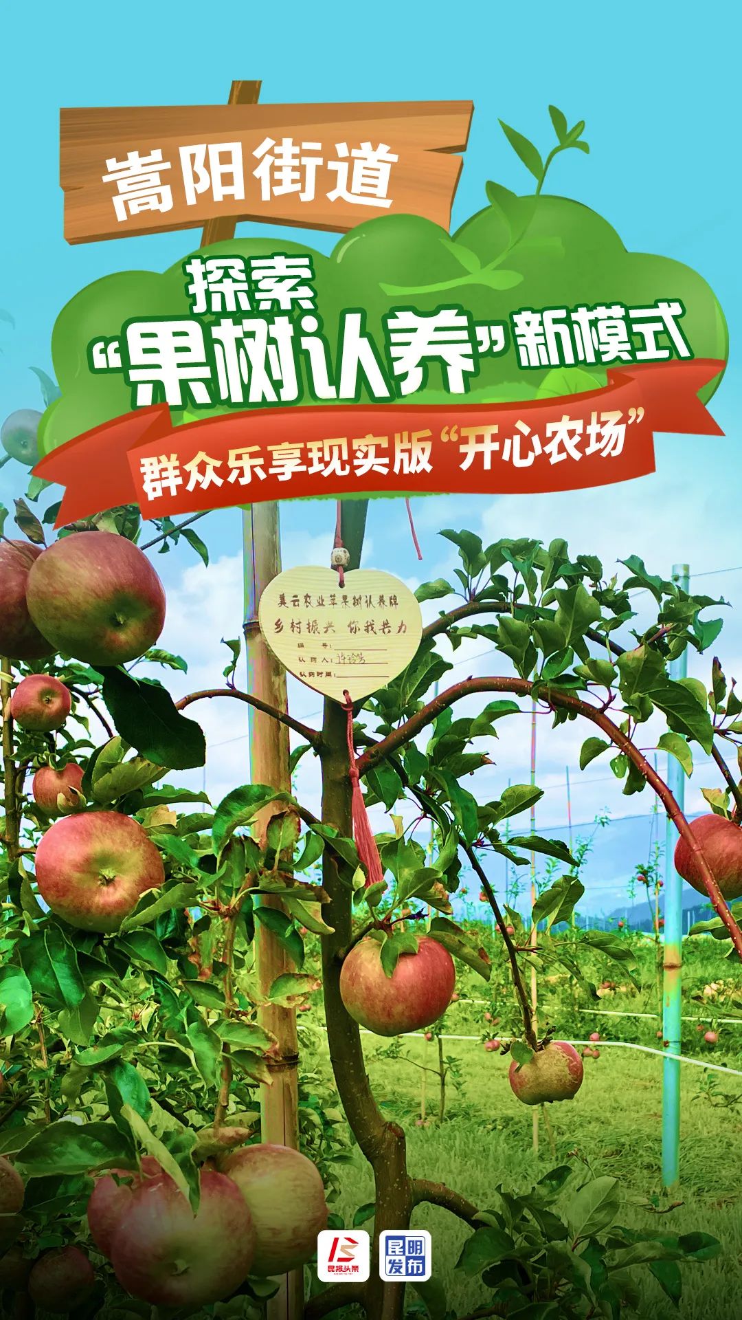 现实版开心农场上线嵩明探索果树认养新模式
