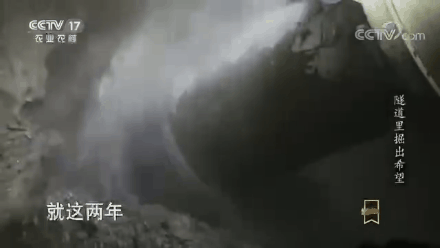 来源：微博@央视三农