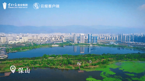 来源：云报客户端