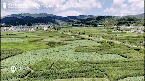 来源：云报客户端