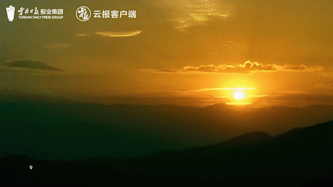 来源：云报客户端