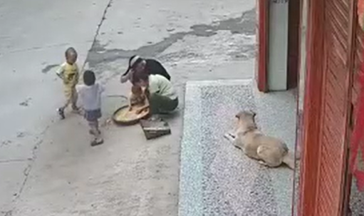 小孩遭恶犬扑咬，家中狗狗飞奔勇救小主人休闲区蓝鸢梦想 - Www.slyday.coM