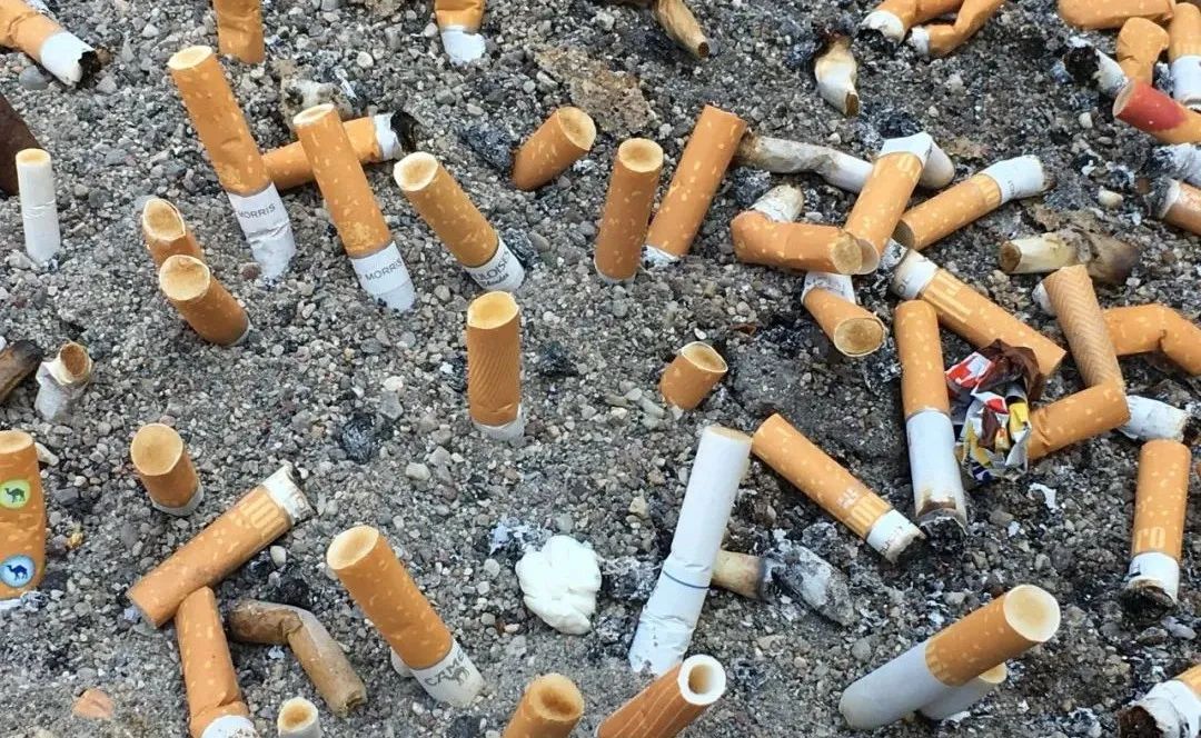 你随手丢掉的烟头,被别人拿去发家致富了__财经头条