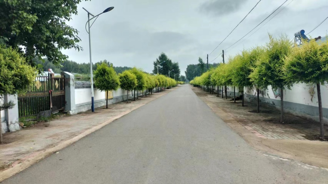 巴日嘎斯台乡良种场村"积分超市"激发乡村治理新活力__财经头条