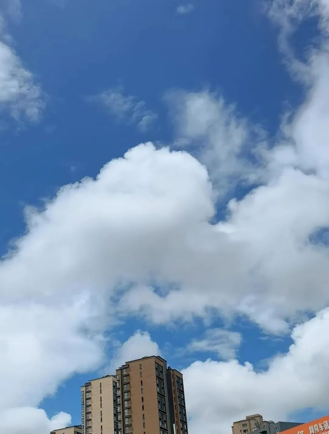 部分地区已超35℃！从早热到晚，“桑拿天”来了！刚刚，青岛发布高温黄色预警休闲区蓝鸢梦想 - Www.slyday.coM