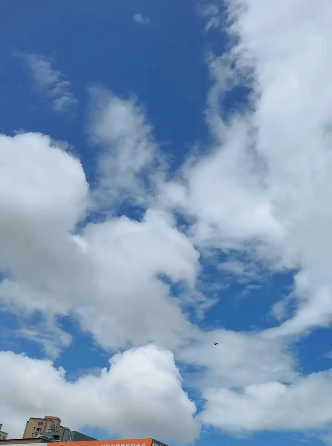 部分地区已超35℃！从早热到晚，“桑拿天”来了！刚刚，青岛发布高温黄色预警休闲区蓝鸢梦想 - Www.slyday.coM