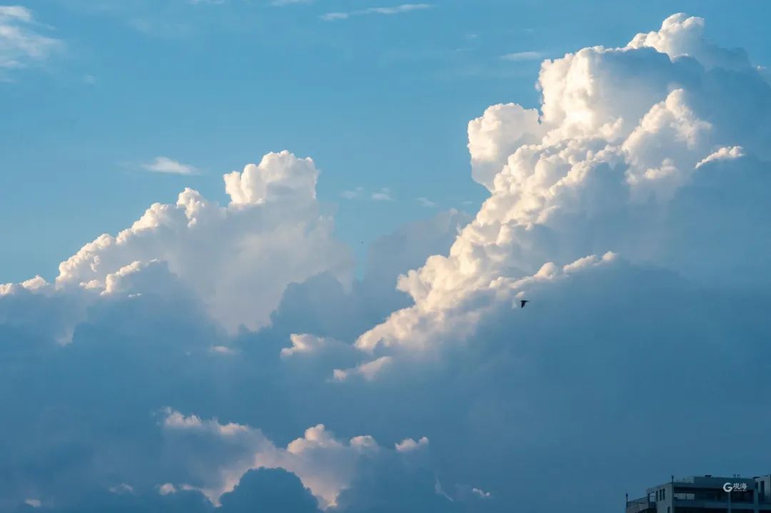 部分地区已超35℃！从早热到晚，“桑拿天”来了！刚刚，青岛发布高温黄色预警休闲区蓝鸢梦想 - Www.slyday.coM
