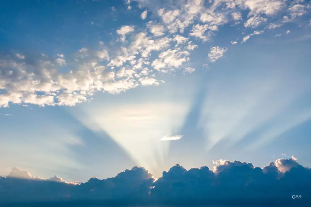 部分地区已超35℃！从早热到晚，“桑拿天”来了！刚刚，青岛发布高温黄色预警休闲区蓝鸢梦想 - Www.slyday.coM