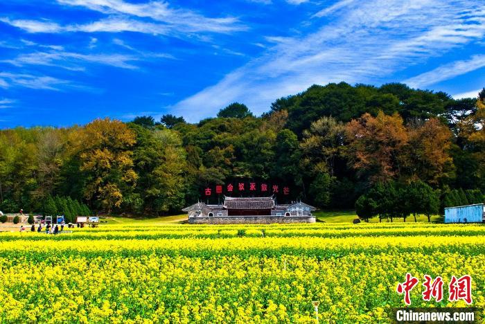 jiukan探秘九看：一款高质量的在线视频平台