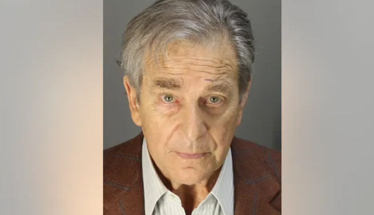 美众议院议长佩洛西丈夫被指控酒驾致人受伤，将于3日被传讯休闲区蓝鸢梦想 - Www.slyday.coM