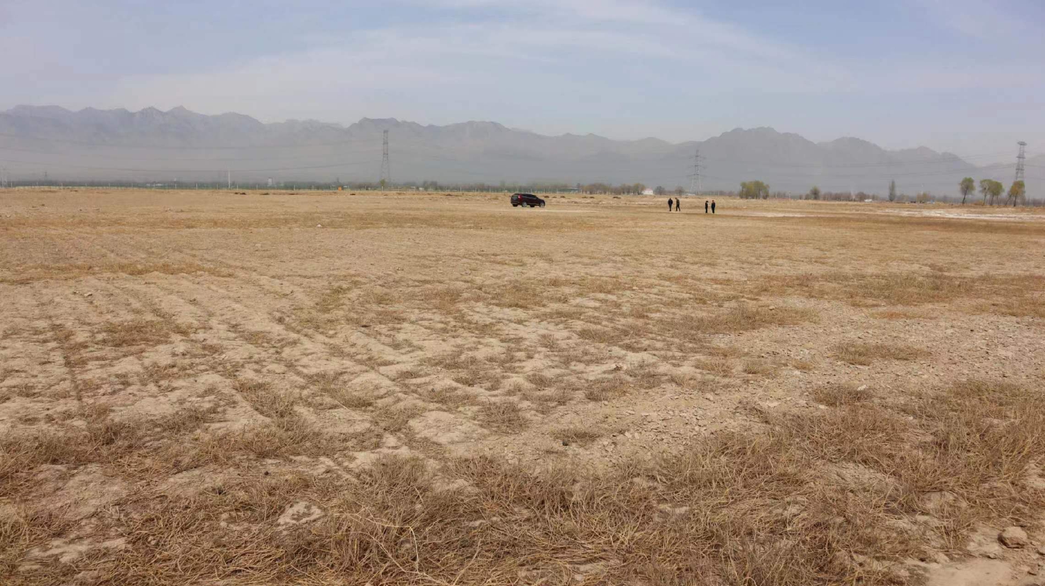 宁夏盐碱荒滩长出玉米有秘笈