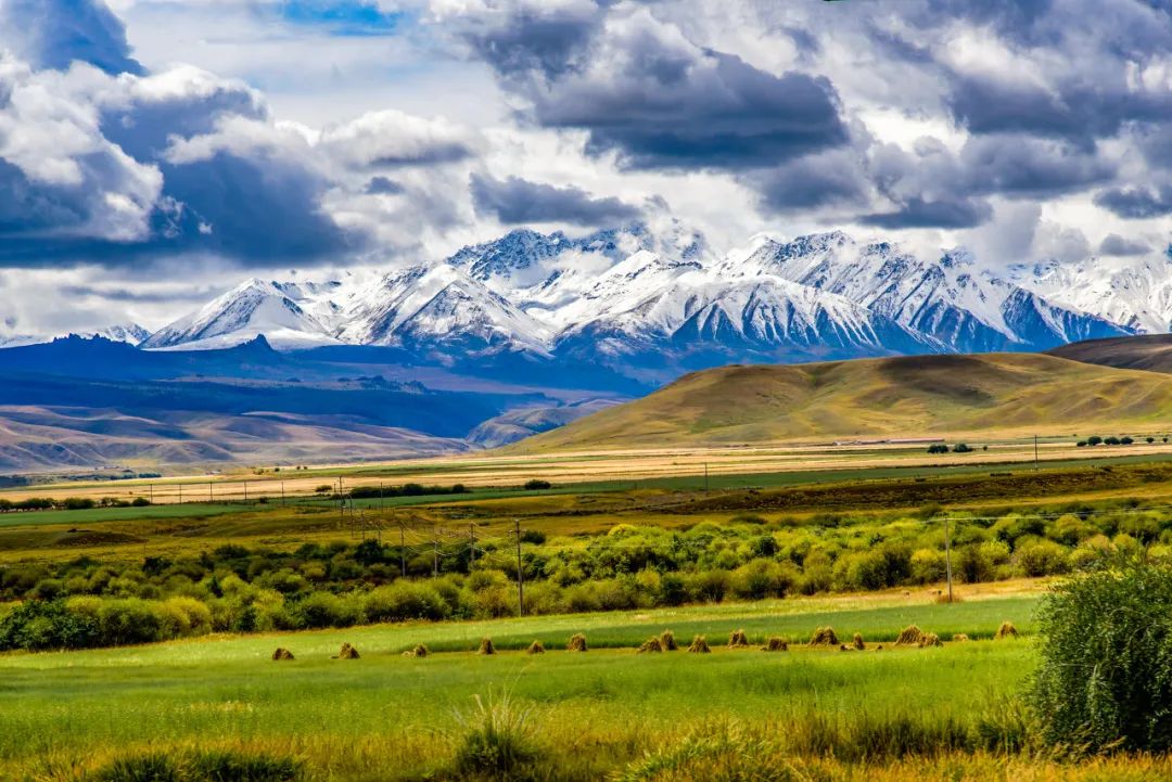祁连雪山大草原./图虫创意