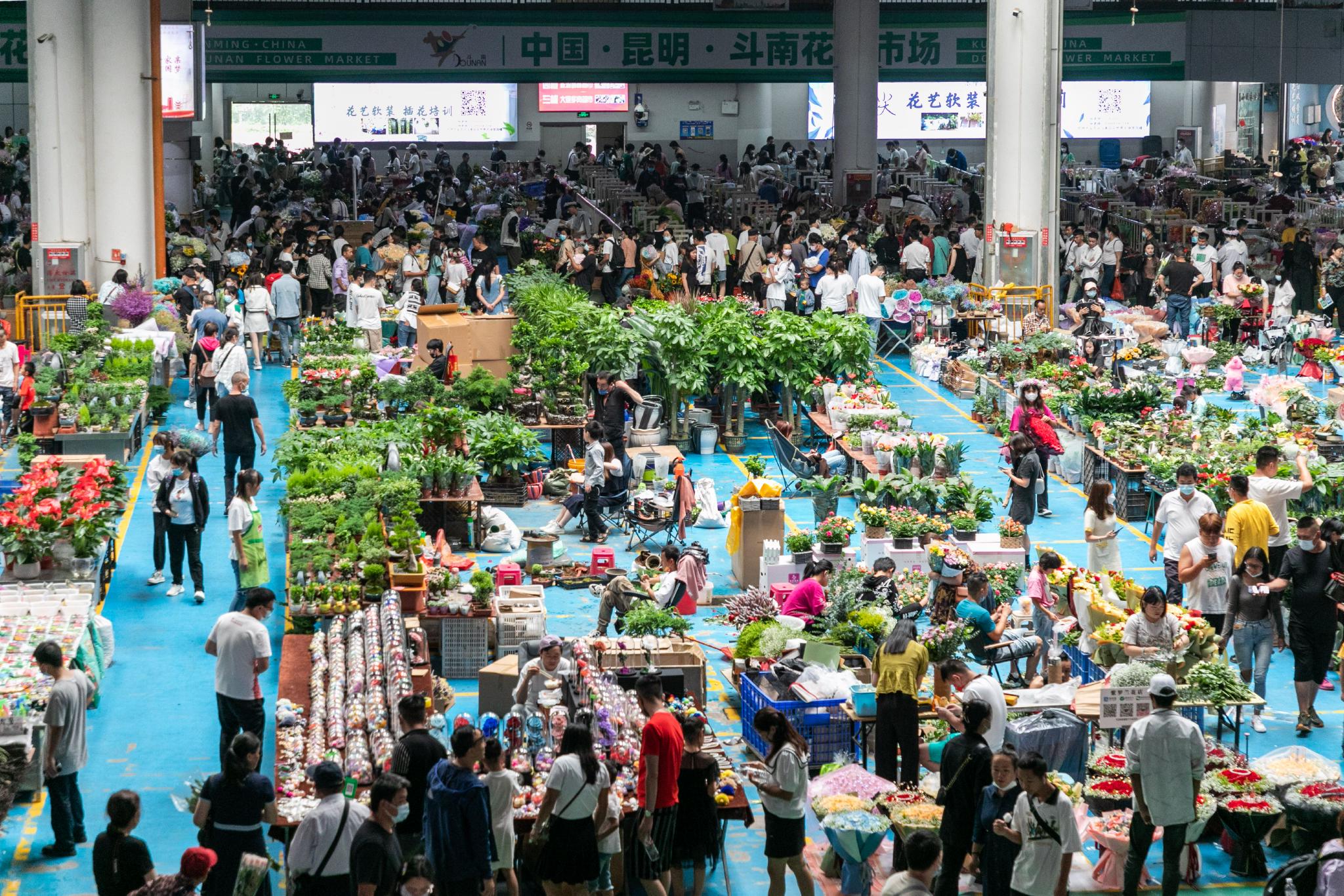 8月4日,人们在云南昆明斗南花市选购鲜花。新华社记者 曹梦瑶 摄
