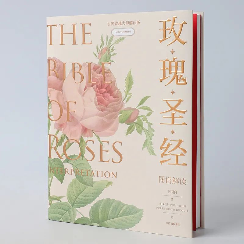 七夕特别策划休闲区蓝鸢梦想 - Www.slyday.coM