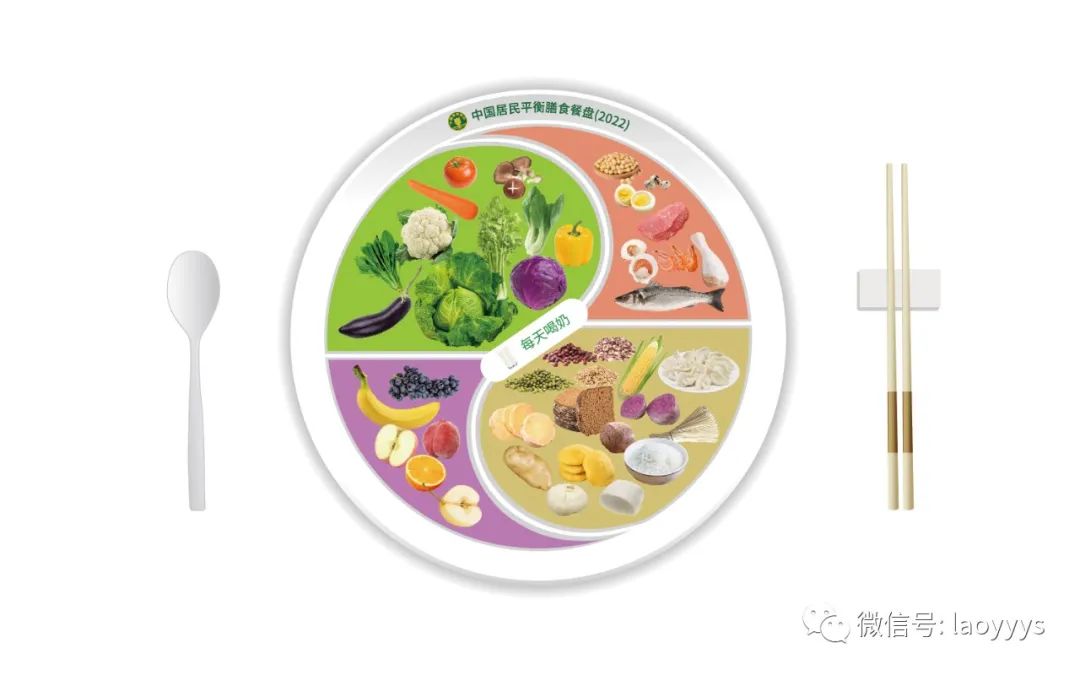 这个沛博特的特殊膳食除了能补充蛋白质,请问还能补充哪些?