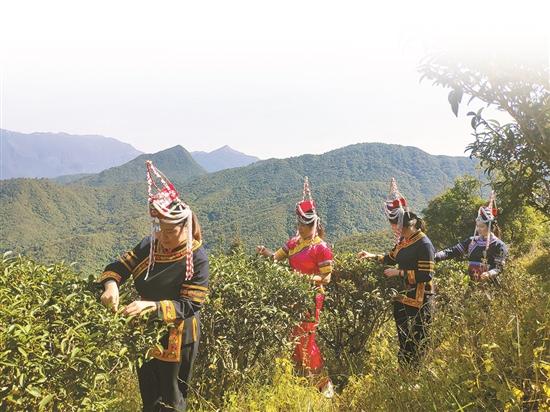 惠州文脉风物博罗嶂背畲族村民族风情独具特色文旅融合推动传承