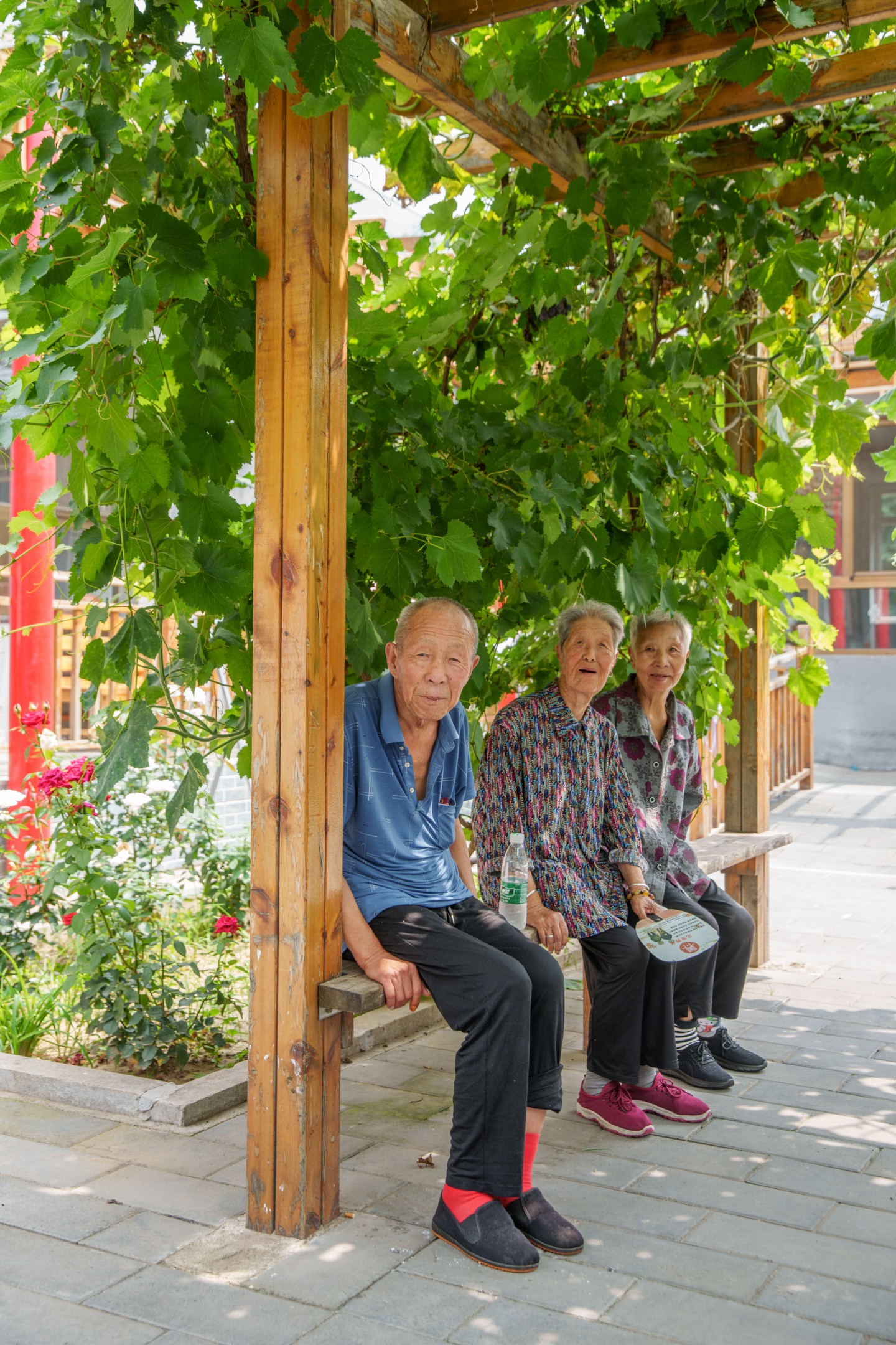 幸福晚年驿站，徐加成、王明珍、彭丽霞（从左至右）午饭后坐在庭院里。新京报记者 王子诚 摄