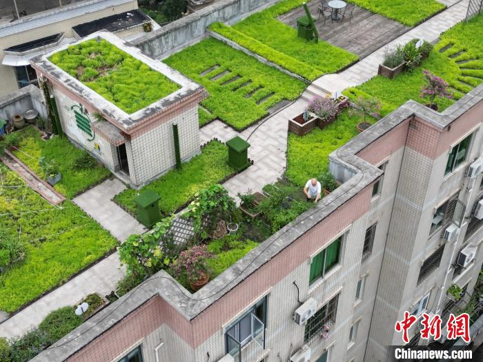 成都一老旧小区楼顶变1100平方米共享空中花园