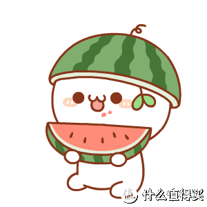 夏天吃瓜不留西瓜皮方便安全的至拙厨余垃圾处理器简评