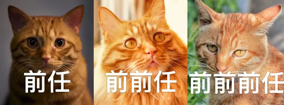 就是这样丨原图:图虫创意