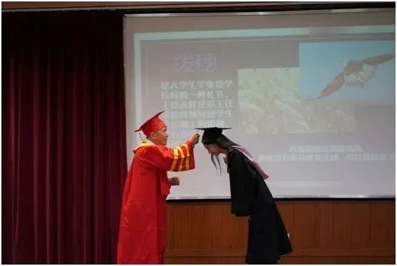 1年学费15万毕业仅5人，慎言民办大学“割韭菜”休闲区蓝鸢梦想 - Www.slyday.coM