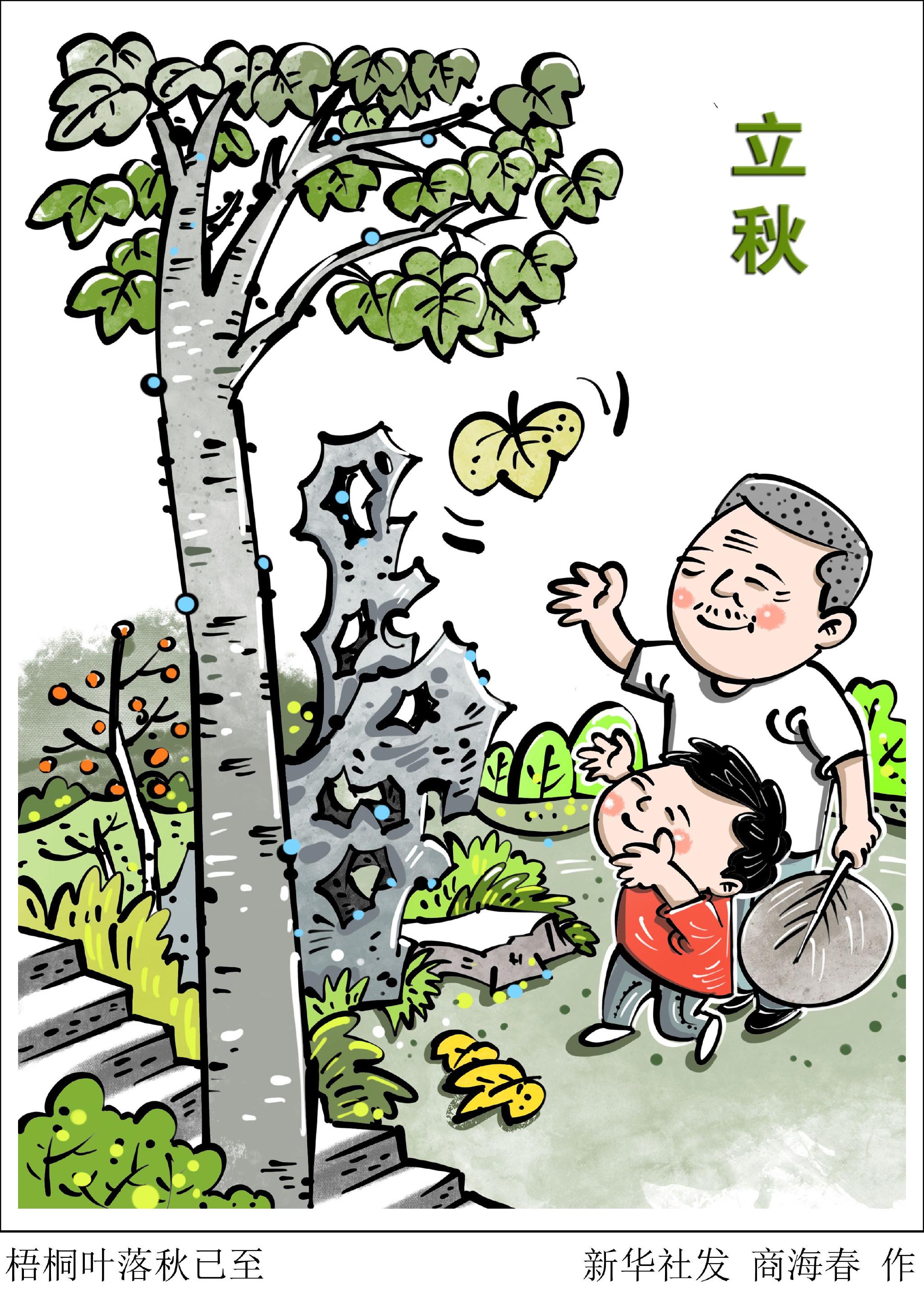 新华社图表,北京,2022年8月6日(漫画)梧桐叶落秋已至"烦暑郁未退,凉飙