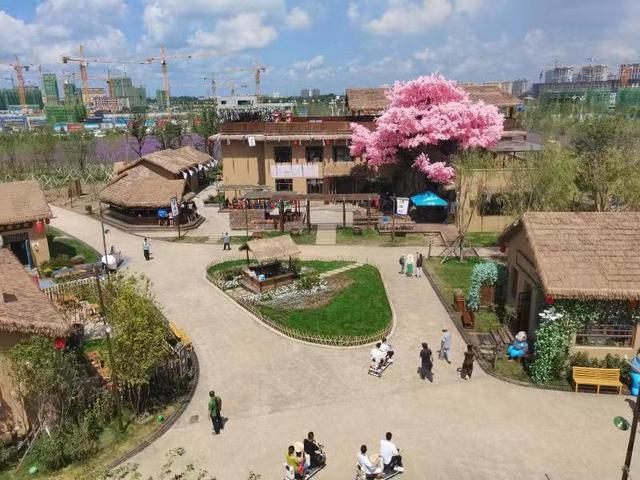 穿越 梅河口知北村 体验旅游火爆出圈背后的故事 花海 新浪新闻