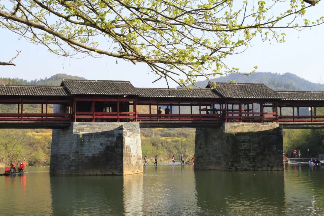 中国最长木拱廊桥万安桥被烧毁,始建于北宋|宁德市_新浪财经_新浪网
