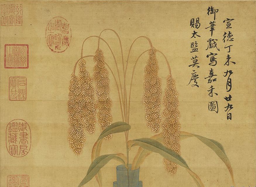立秋|故宫藏画里的嘉禾:谷穗、高粱与稷米……|嘉禾图_新浪财经_新浪网