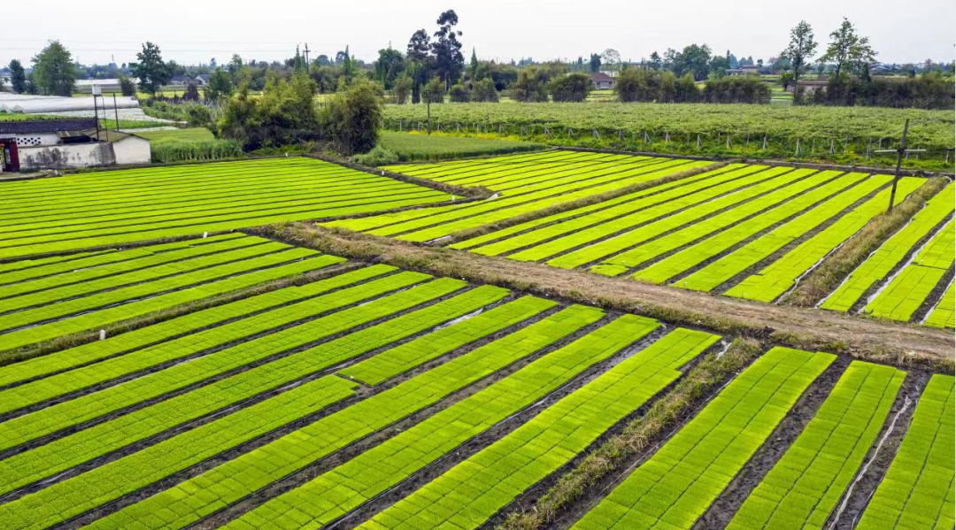 摄影:周乐鹏(新华社签约摄影师)