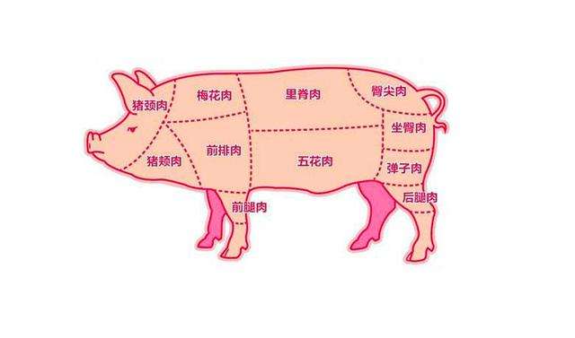 五花肉和梅花肉有啥区别?选后腿肉还是前腿肉?猪肉你买对了吗?