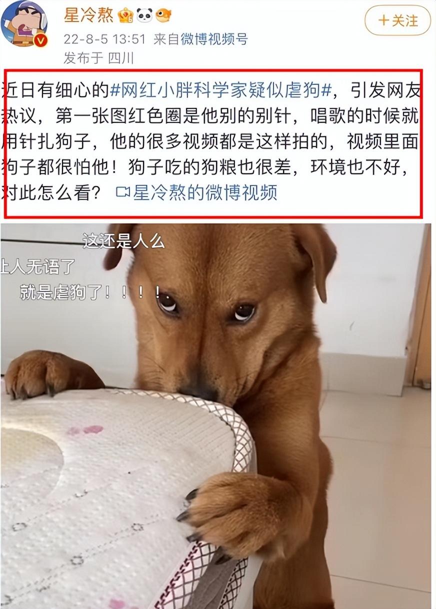 网红表情包“委屈小狗”遭针扎虐待?主人回应:就为涨粉折磨它!休闲区蓝鸢梦想 - Www.slyday.coM 网红表情包“委屈小狗”遭针扎虐待?主人回应:就为涨粉折磨它!休闲区蓝鸢梦想 - Www.slyday.coM