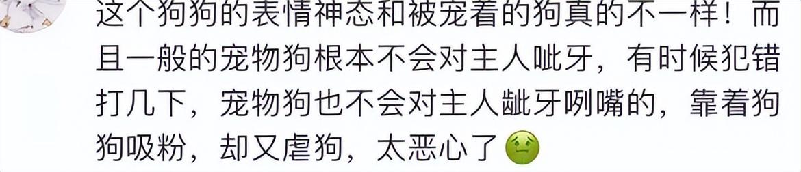网红表情包“委屈小狗”遭针扎虐待?主人回应:就为涨粉折磨它!休闲区蓝鸢梦想 - Www.slyday.coM 网红表情包“委屈小狗”遭针扎虐待?主人回应:就为涨粉折磨它!休闲区蓝鸢梦想 - Www.slyday.coM