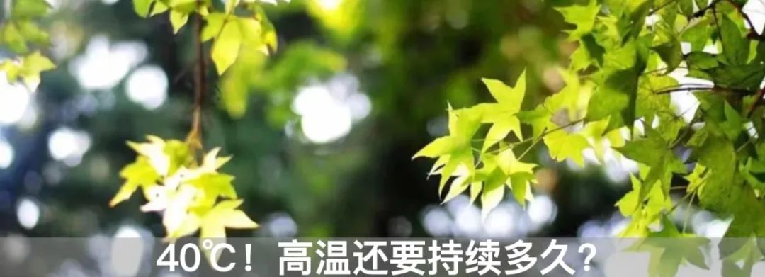 本土新增324+483，西藏发现4名游客核酸阳性，海南多地实行临时性全域静态管理休闲区蓝鸢梦想 - Www.slyday.coM