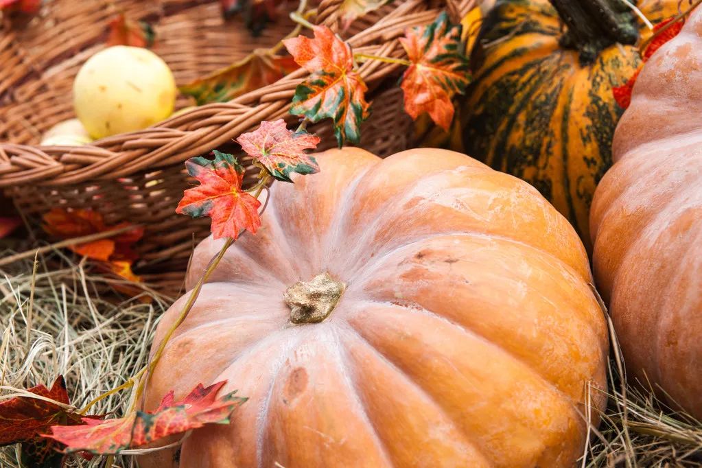 适合中老年人吃的食物排行榜，鸡蛋才排第4，冠军竟然是它！休闲区蓝鸢梦想 - Www.slyday.coM