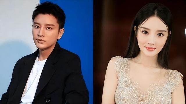 贾乃亮李小璐退出偷税被罚公司