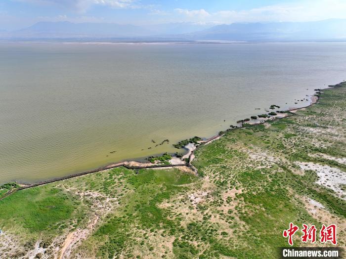 俯瞰柴达木盆地都兰湖国家湿地公园_手机新浪网