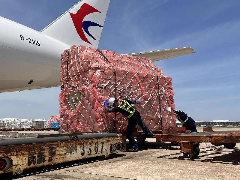 东航物流保障货运航班(本文图片均由东航提供)