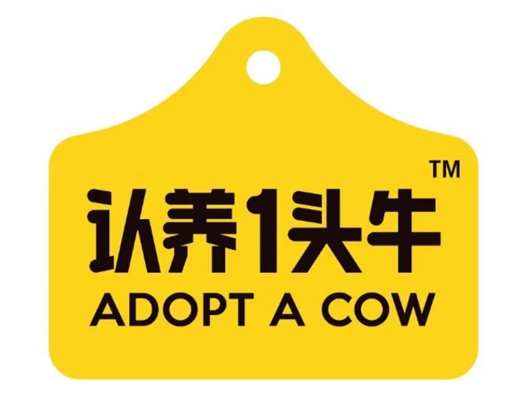 乳业网红品牌认养一头牛的养成记