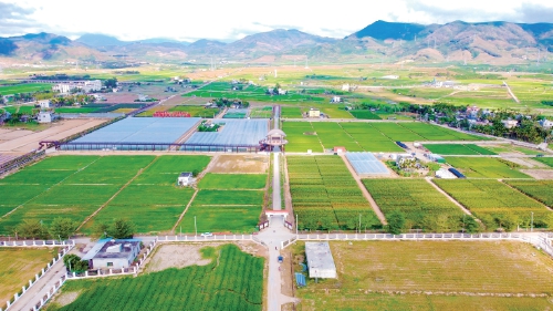 图为三亚市南滨农场展示基地. 资料图