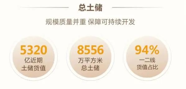 图/这是2021年中期业绩上，龙光发布总土储量情况，5千亿货值、8千万方、94% 货值都在一二线。来源：企业公开数据